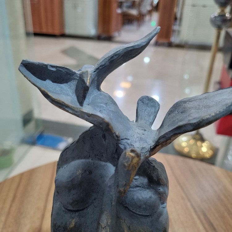 تندیس رخ سکوت کد 1202