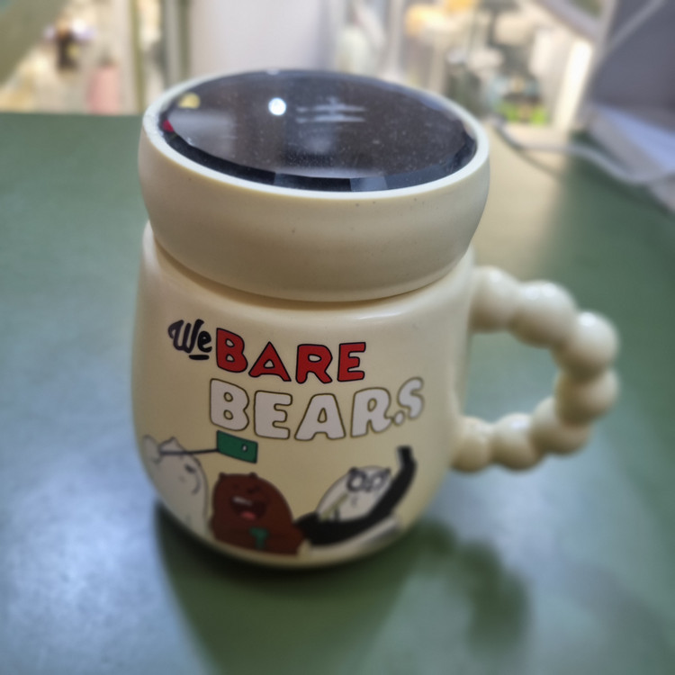 ماگ دکوری درب آینهای طرح We Bare Bears کد CN1025